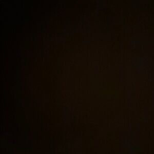 Meet your Posher, Savanah